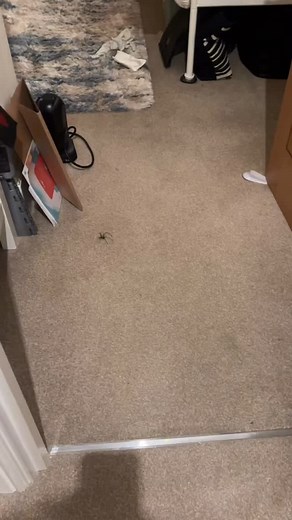 Debbie flint on Reels