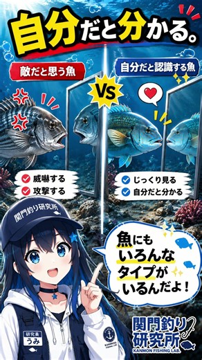 【99％が知らない】魚は鏡に映った自分が分かる種類もいる