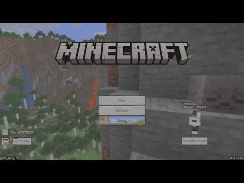 My Minecraft Settings!