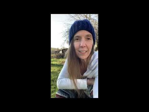 Oregon IP 28 “Peace Act”