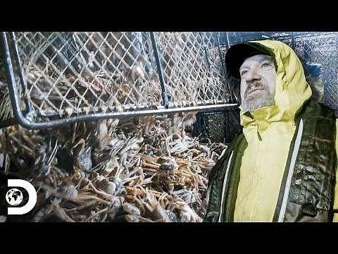 Wizard es azotado por olas gigantes | Pesca Mortal | Discovery Latinoamérica