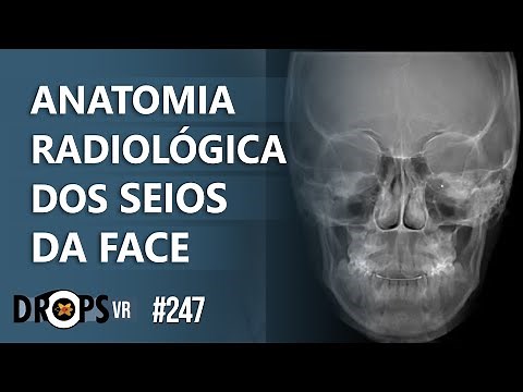 ANATOMIA DOS SEIOS DA FACE NO RAIO-X