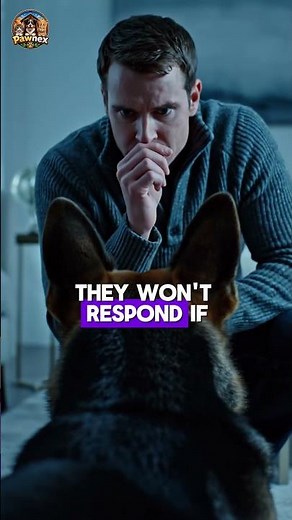 Seizure vs Dreaming in Dogs – How to Tell the Difference Fast!