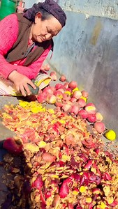 ||Black diamond Apple in Kinnaur|| | Aprajita Negi