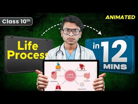 Class 10 Life Processes- Animated rapid revision- Chapter 5 SCIENCE in 10 minutes!🔥