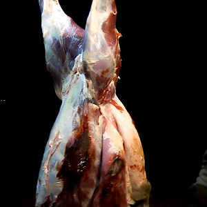 Skin and Process a Deer in 10 Minutes Without Gutting It | Deer & Deer Hunting