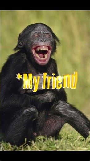 when I am laughing my face when my friend laughing his face #funniestvideo