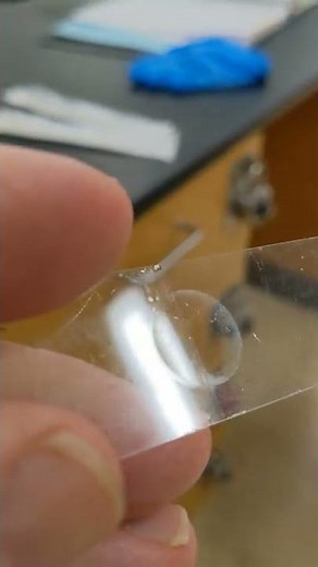 biol 215 depression slides