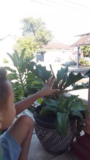 merawat bunga dulu ya gaes