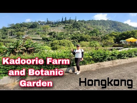 Kadoorie Farm and Botanic Garden // Hongkong // How to get there?