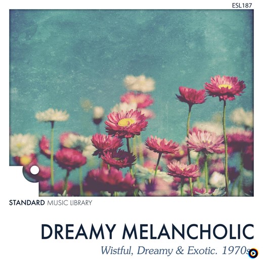 One Organ, No Monkey by Standard Music Library