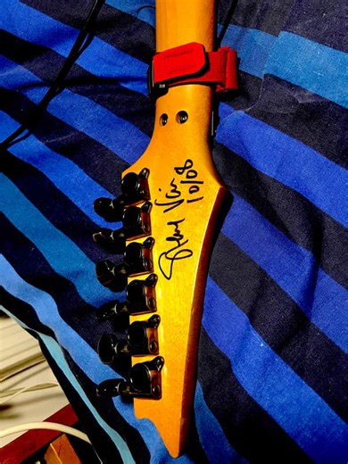 Ibanez JEM77-FP Steve Vai Signature Floral Pattern 1989 Floral Pattern | Reverb France