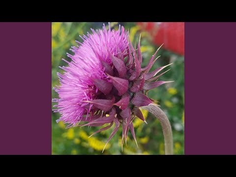 another level (Remix)