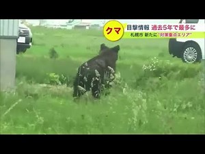 "クマの目撃情報"相次ぐ北海道 札幌市内では人里近く出没繰り返すオス1頭を駆除…札幌市は「ヒグマ対策重点エリア」を設定 (23/05/13 09:30)