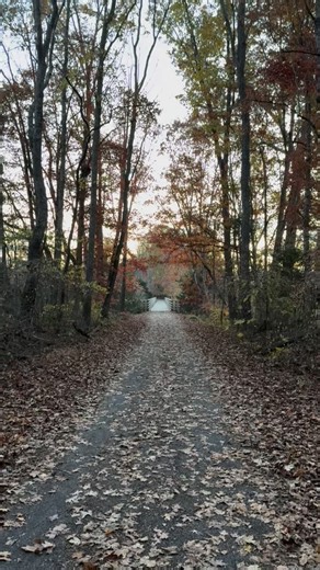 The sights and sounds of nature this fall in Appalachia. That’ll drop your blood pressure a few notches, don’t ya think? | The Appalachian Project