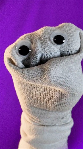 i do not think this means what you think #princessbride #funny #socksaddict #puppet