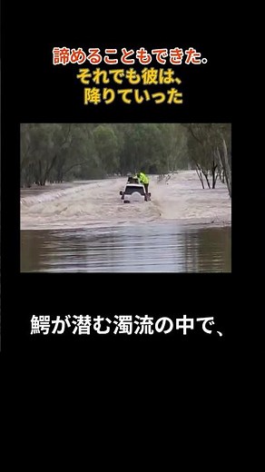 鰐の潜む濁流の中、ヘリコプターが車の屋根に降り立った#オーストラリア洪水 #犬の救助 #ヘリコプター救助 #感動実話 #動物救助#AustraliaFlood #DogRescue