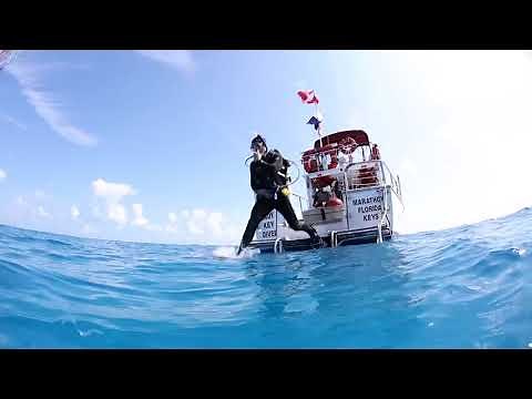 Become a NAUI Scuba Diver