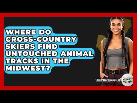 Where Do Cross-country Skiers Find Untouched Animal Tracks In The Midwest? - The Midwest Guru