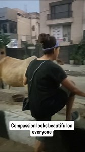 Love grows where cows roam #CowLove #HumanAnimalBond #SpiritualAnimals #Gaumata #PureLove #Heartwarming #AnimalLove #AnimalLover #LoveAnimals #PetLove #InstaReels #TrendingNow #dogs #streetdogs #farmlife #naturelover #universe #compassion #omnamahshivaya | Shiv Sewa Animals Lives Matter