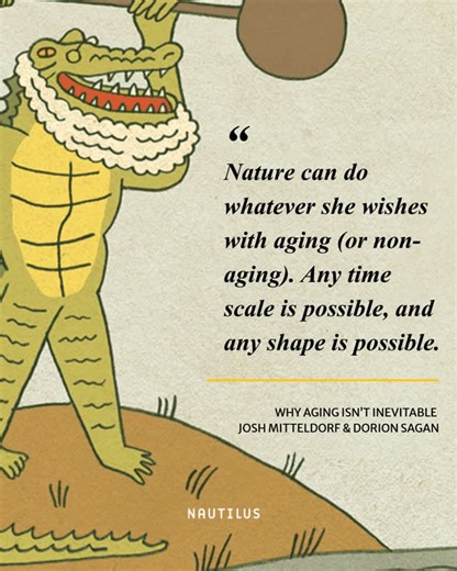Nautilus Magazine on Instagram: "We tend to think of aging as inevitable—and roughly the same for all living things.⁠ ⁠ But in nature, aging follows no single script.⁠ ⁠ Some organisms decline steadily. Others remain stable for most of their lives, then die abruptly. Some show little evidence of aging at all. In a few cases, the risk of death actually decreases with age.⁠ ⁠ What those wildly different life histories reveal about aging itself—and why the sheer variety of patterns should make us c