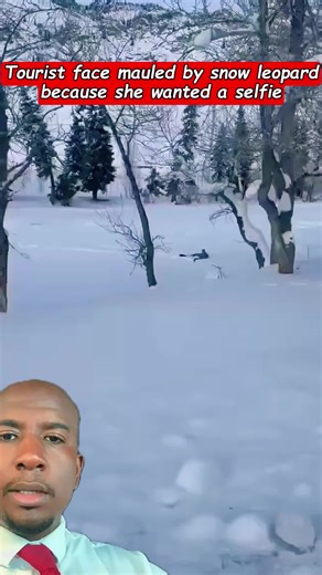 Tourist face mauled by snow leopard because she wanted to take a selfie#viralvideo#trending#foryoupage#fyp