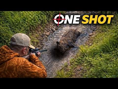 Drone Hunt: 50 Wild Boars Down in 8 Minutes — Wild Boar Hunting in Shallow Stream | Ep 110