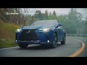 All-New 2022 Lexus NX