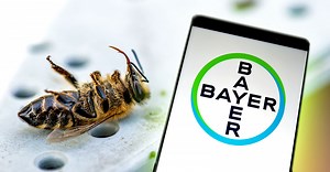 Bayer Pesticides Kill Bees. The Chemical Giant Found a Winning Way to Spin the Bad News
