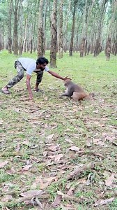 Wow monkey comedian Hanuman comedian video | Samim funny1M