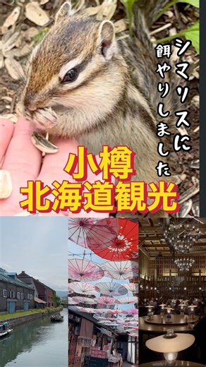 小樽で見た景色✨✨