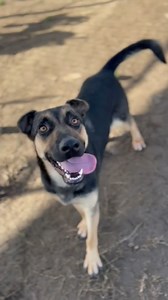 4.5K views · 172 reactions | "You wanted the best and you got the...