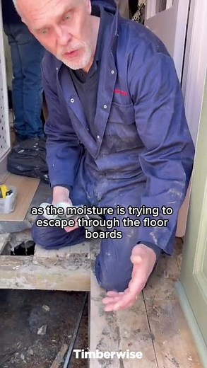 Visible signs you may have dry rot in your home