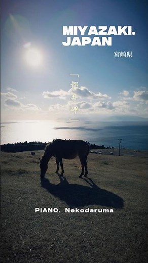 #日本はこんなにも美しい 絶景や写真スポットを紹介。都井岬 宮崎県