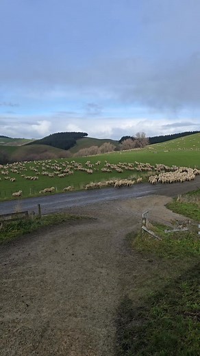 5.4K views · 52 reactions | Flipp'in Crutching on Reels | Facebook