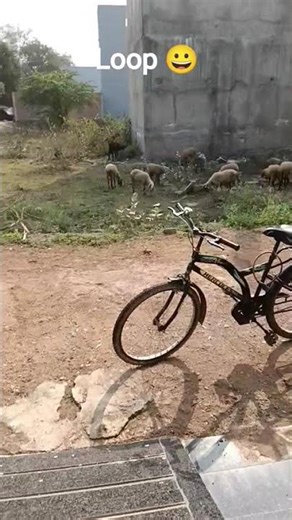 loop 😀 #shorts #youtube shorts #loop #short video #loops