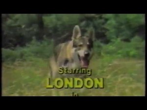 CFTO-TV Celebrates 25 Years (1986 - 2 of 3)