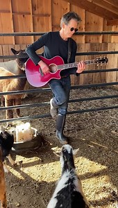185K views · 18K reactions | Took some Glass Animals into the barn. Too bad Electra was not feeling the Heat Waves. #GoatSongs | Kevin Bacon | Facebook