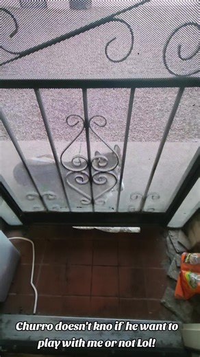 Omero Aceves (@omeroaceves)’s videos with Fun Tones Harmony - Point Frequency