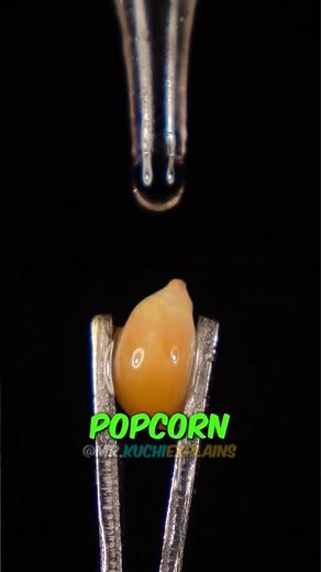 This Is What Popcorn Looks Like While Popping Up Close! 😳🍿