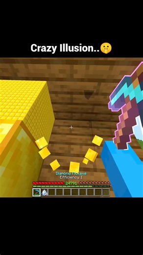 Crazy Illusion #minecraft