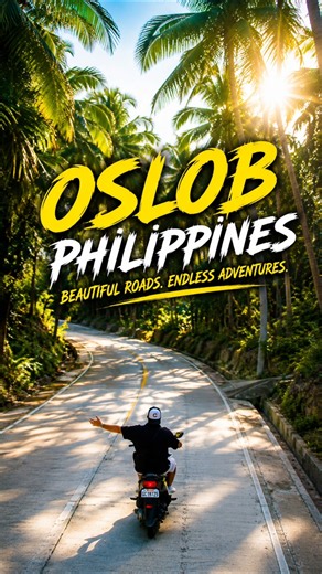 🌴 This Road in the Philippines Feels Like Paradise 🇵🇭