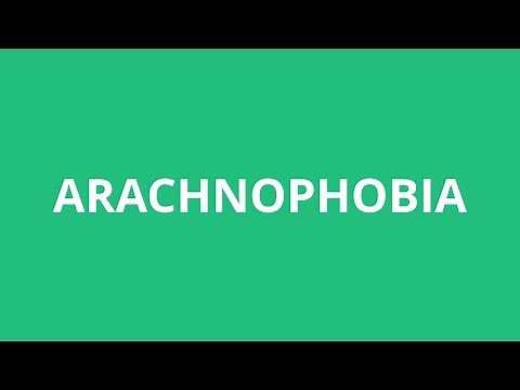 How To Pronounce Arachnophobia - Pronunciation Academy