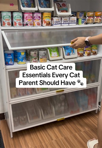 Basic cat care essentials every cat parent should have at home From grooming & dental care to a cat go-bag, being prepared matters! 🐾 #catessentials #catcare #catgrooming #catsupplies #catdentalcare