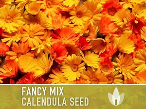 Calendula Officinalis, Fancy Mix Heirloom Seeds, Flower Seeds - Etsy