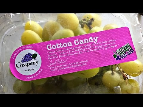 Tasting Cotton Candy Grapes -- Fruity Fruits