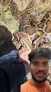 Python skin products are worth crores #shorts 🤯😳