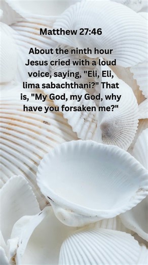 Jesus Saves | Matthew 27:46 Daily Bible Verse