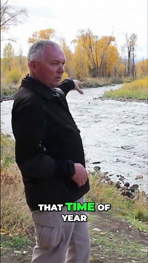 Inside the Crime Scene