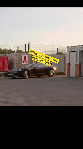 Panda vs Lion: What Would You Rather Be?